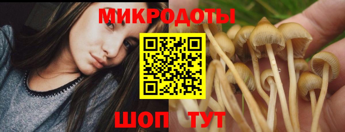 Сургут  Галлюциногенные грибы MAGIC MUSHROOMS  Вход с VPN 