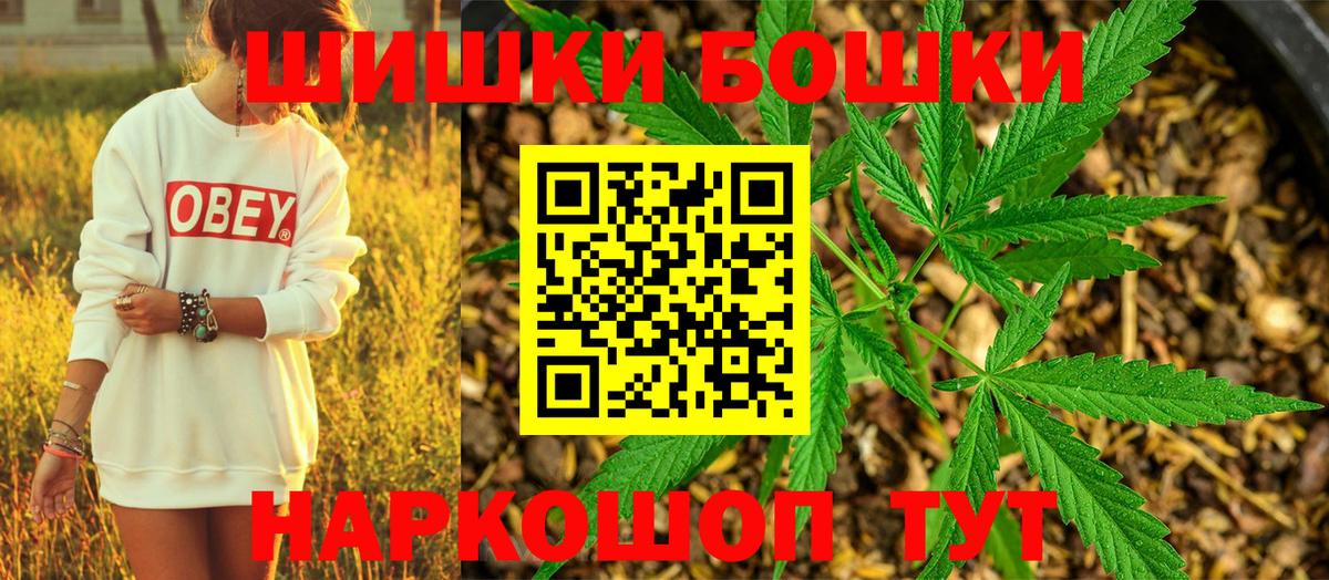 Каннабис индика Сургут